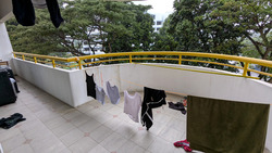 Neptune Court (D15), Apartment #447831931